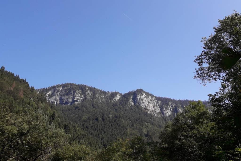 Grand Bornand-La Clusaz Entremont المظهر الخارجي الصورة